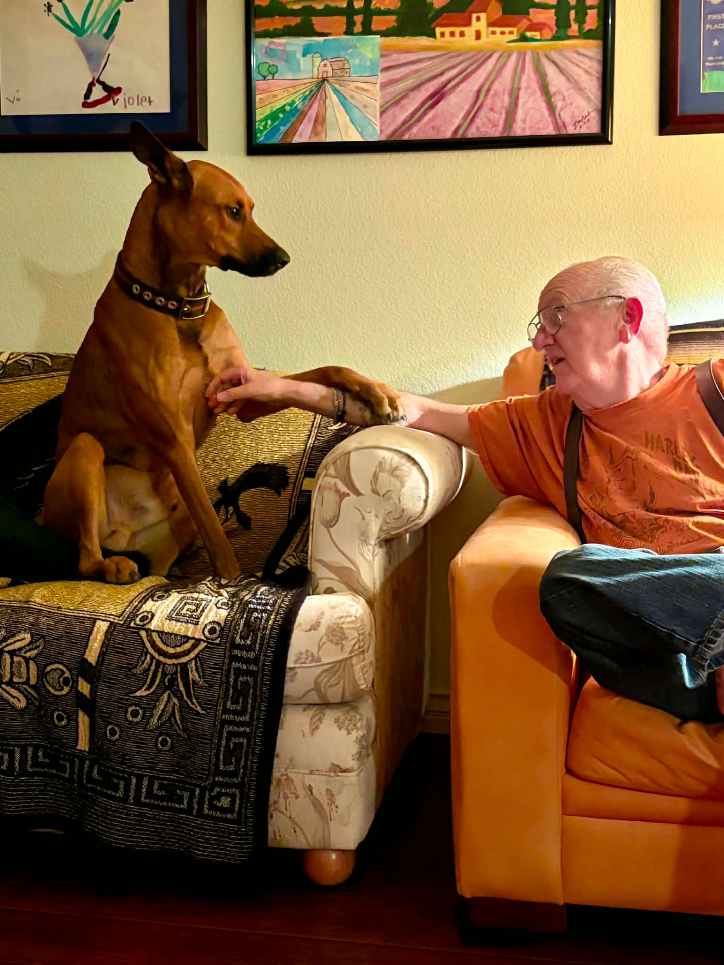 The Blaske family dog sitting on the couch holding paws with Guia's husband